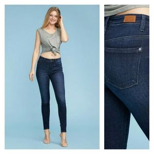 ♥️18W 20W Plus♥️ Judy Blue Dark Wash Skinny Jeans